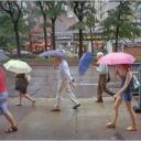 Five Umbrellas 2012