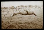 Diver Coney Island-2009