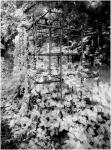 Monkey Bars 1996 (Infra-Red)