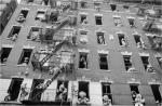 "Stuffed Animals" East Harlem 1988