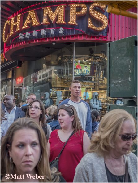 AARON-JUDGE-CHAMPS-STARE (1 of 1) copy